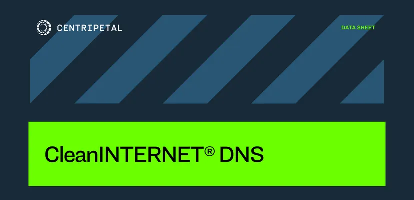 Clean INTERNET DNS Datasheet